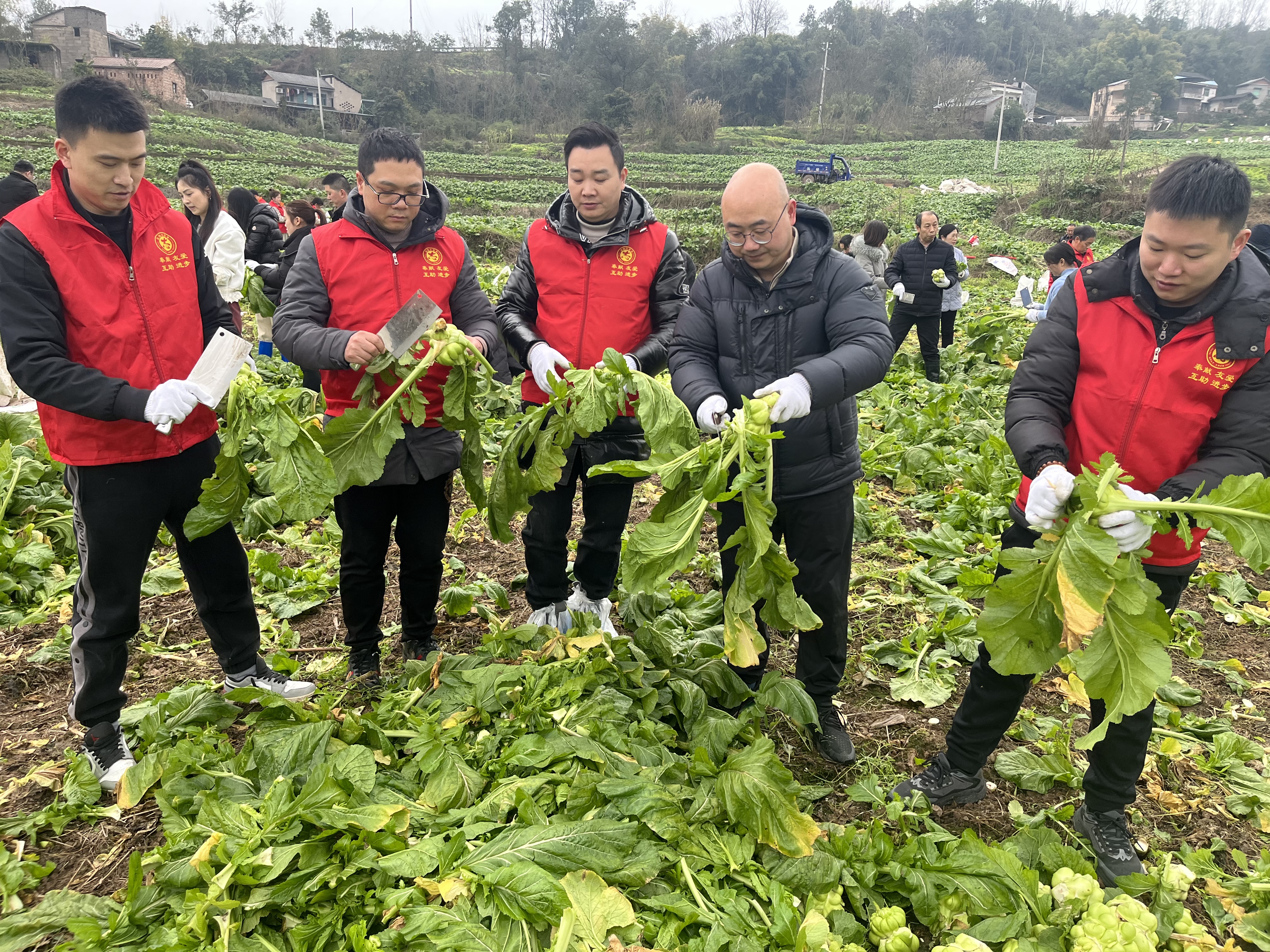 微信图片_20250217101318